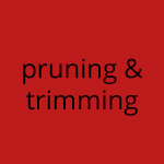 Service Type:  Pruning