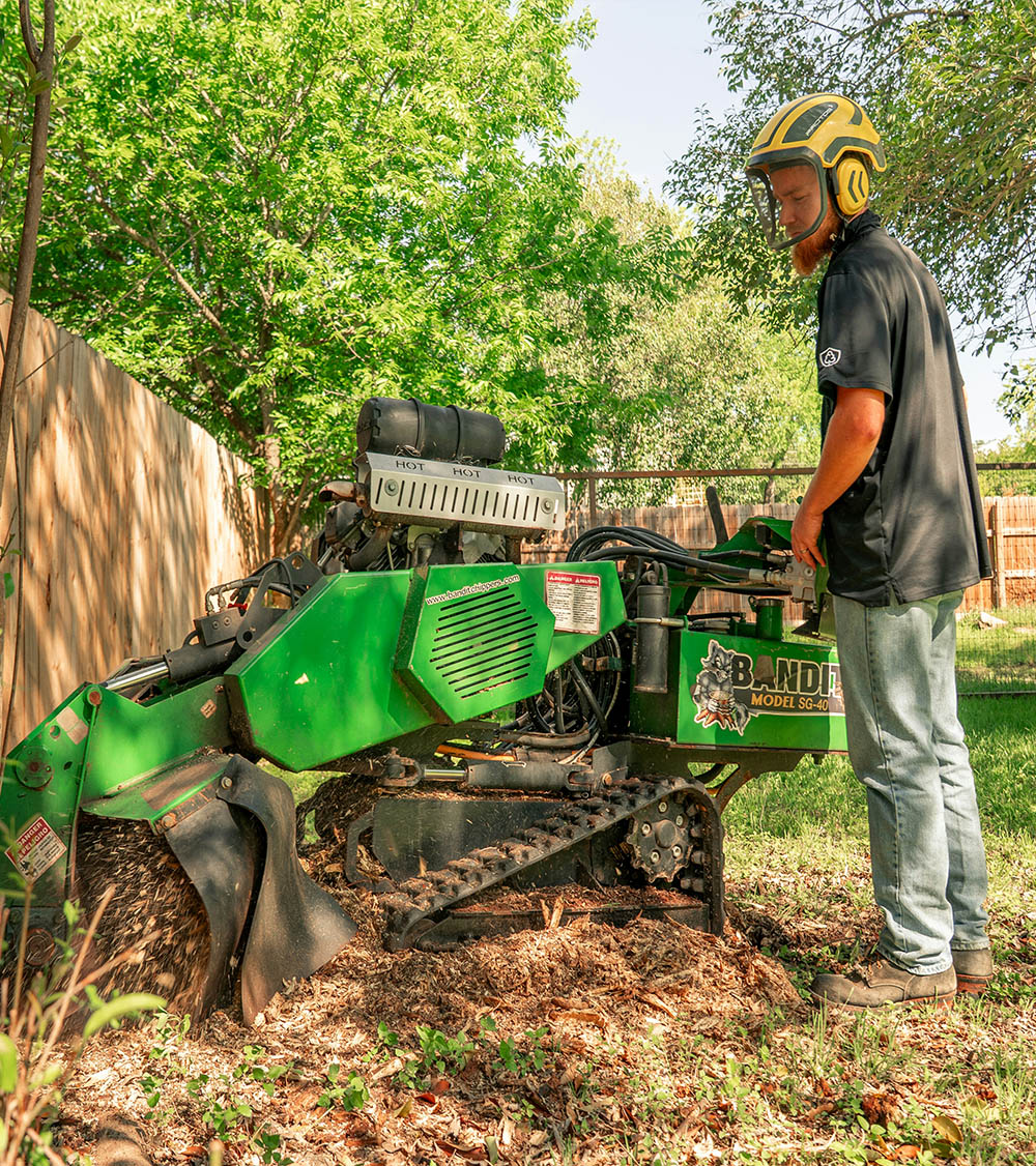 Plymouth stump grinding
